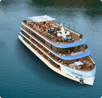 Cycad Cruise