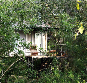 Backwaters Lodge